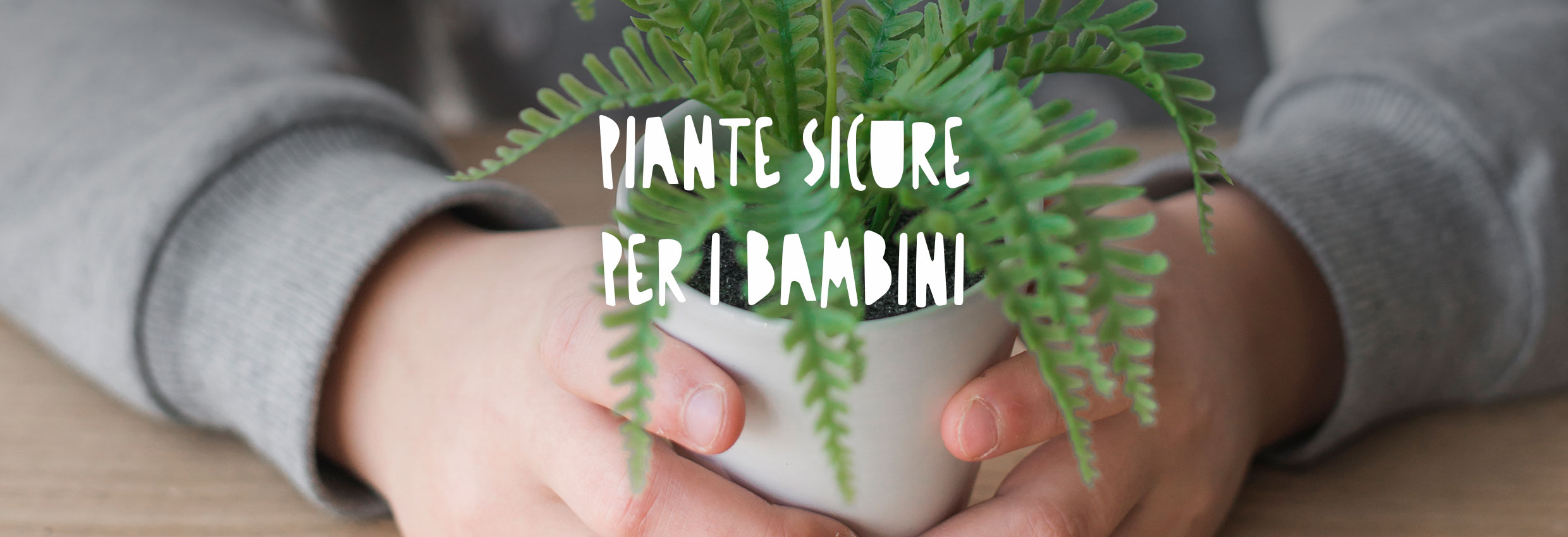 Bambino che tiene una piantina in mano